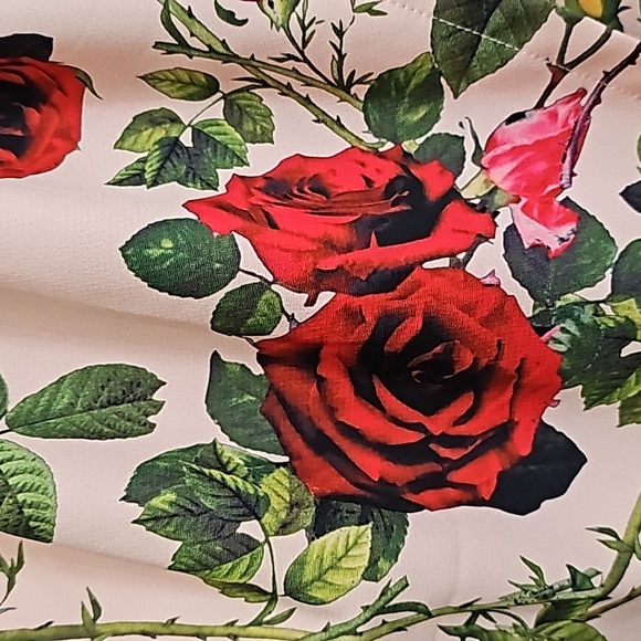 Nwot Ginger Fizz Sleeveless Plunging V Peach/Red Roses Asymmetrical Midi… - Picture 17 of 17